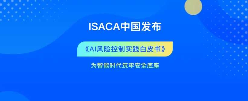 《AI 风险控制实践白皮书》