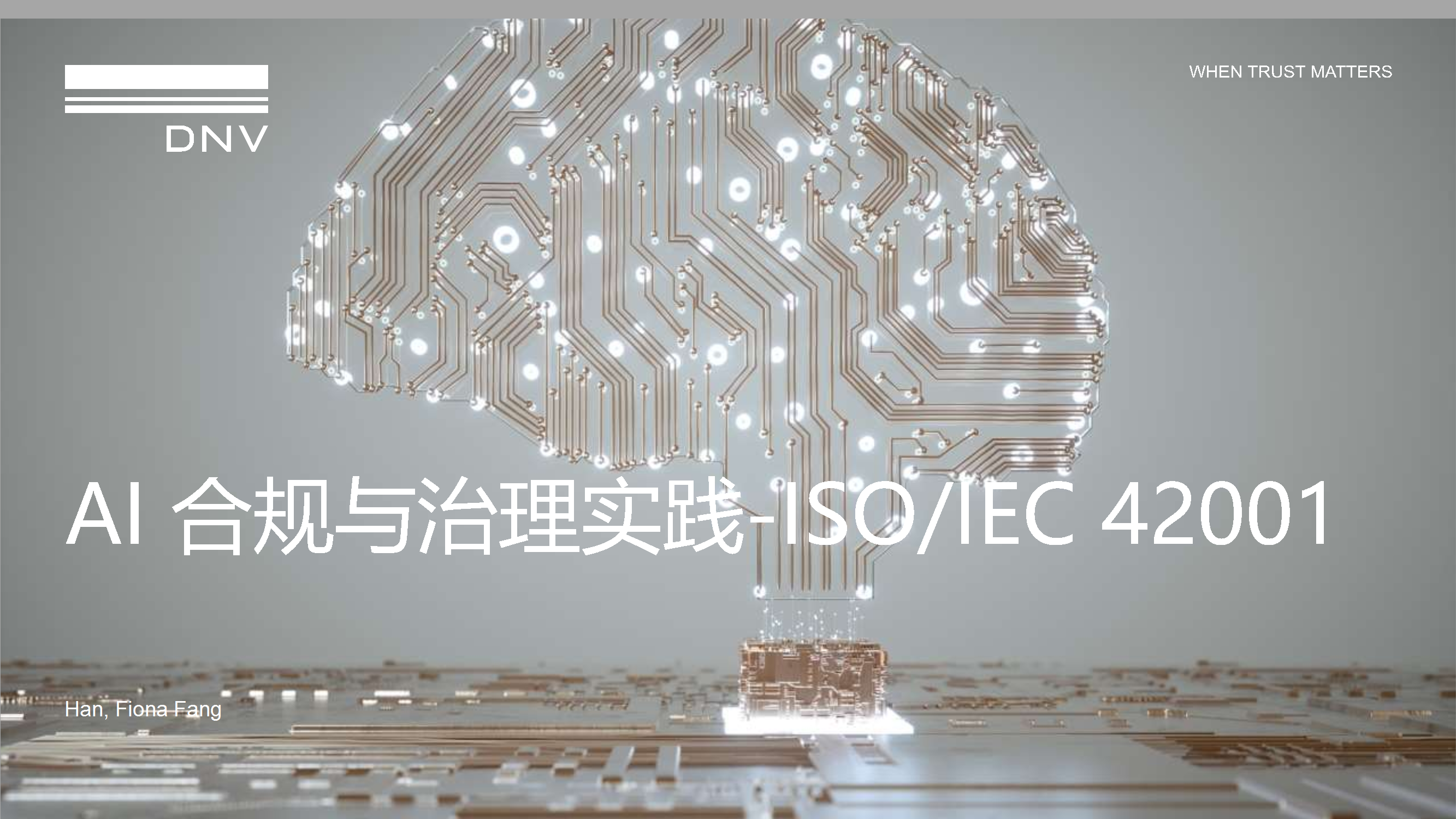 AI合规与治理实践之标准解读